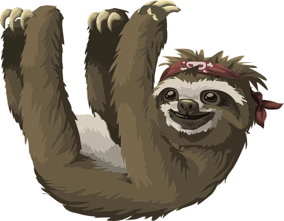 paresseux paresseux