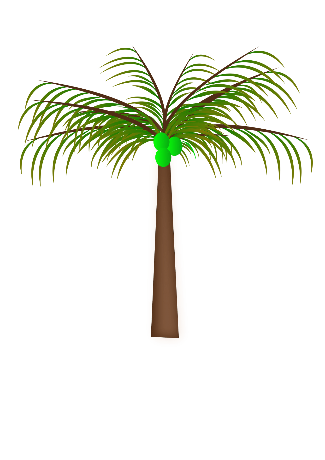 cocotiers cocotiers