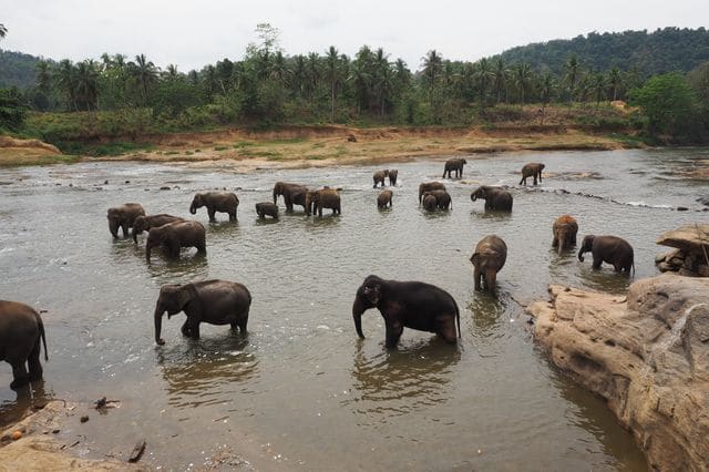 sri lanka