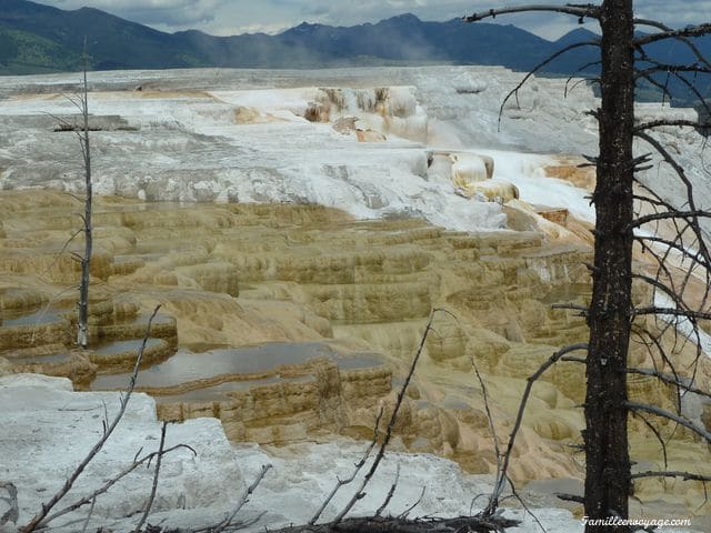 Yellowstone USA