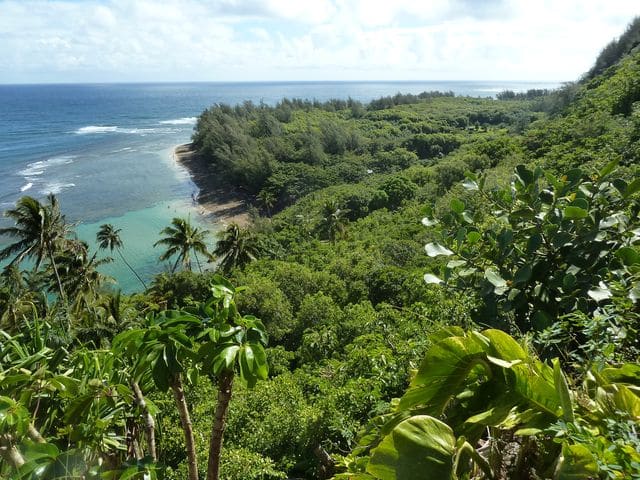 hawai hawai