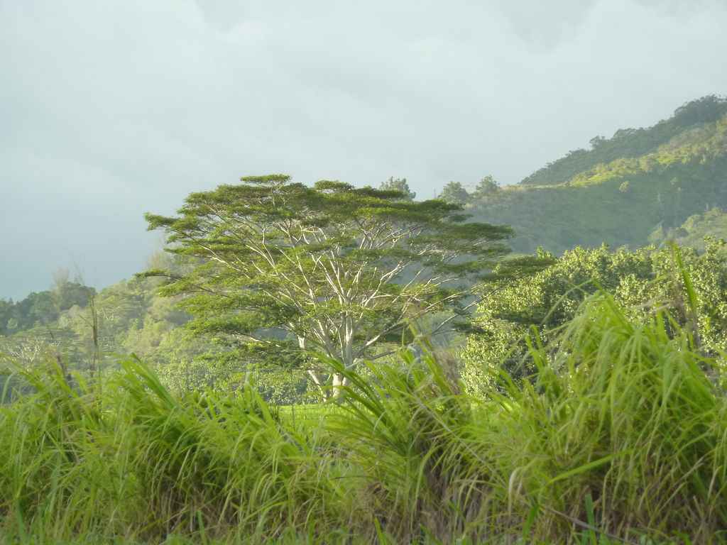 kauai