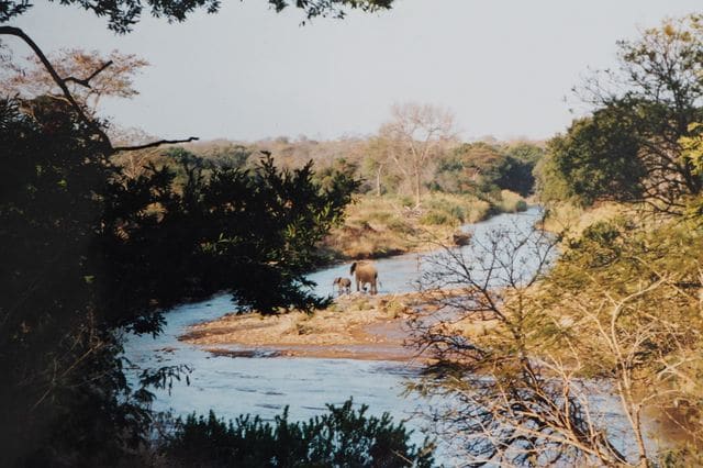 La rivière devant le lodge.