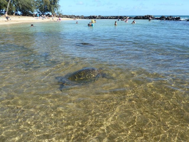 Plage de Poipu