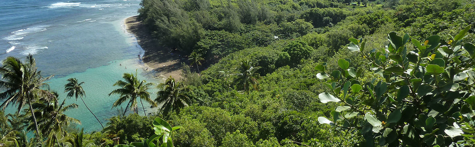 en tête Hawaii