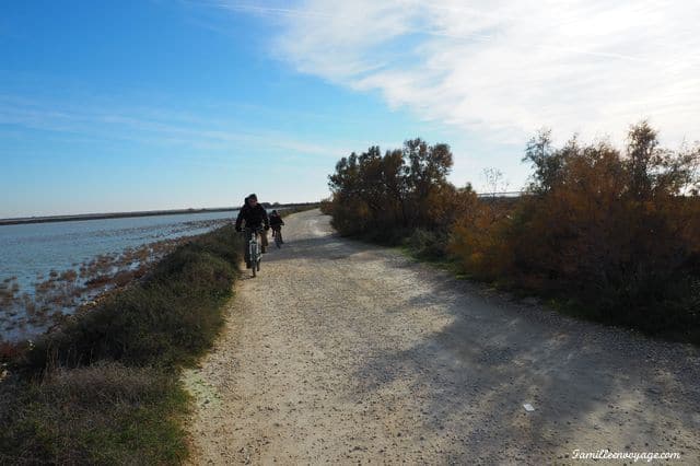 camargue en famille