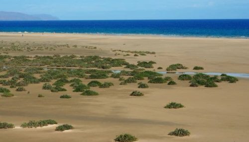 Fuerteventura