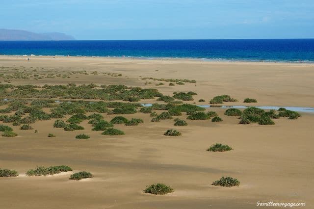 Fuerteventura