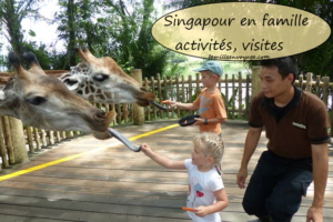 singapour en famille activités, adresse en famille