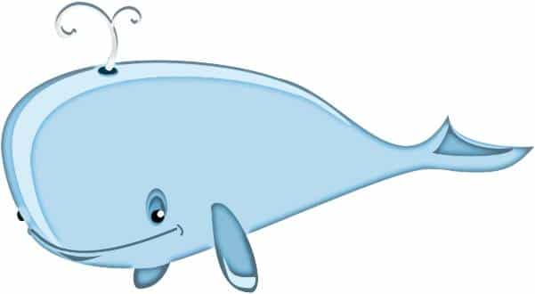 baleine