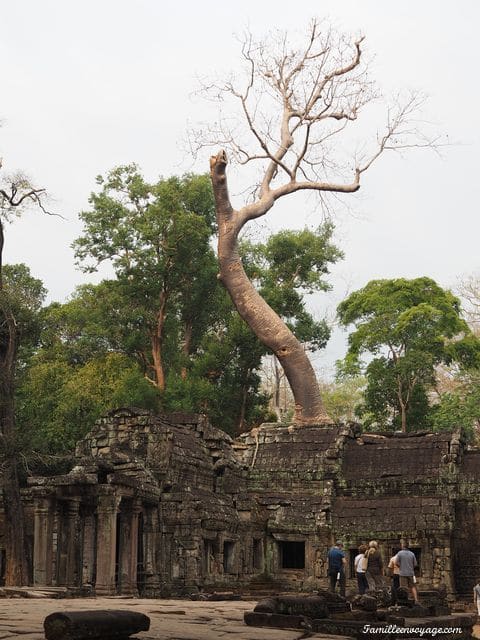 voyage au cambodge les temples d 'Angkor