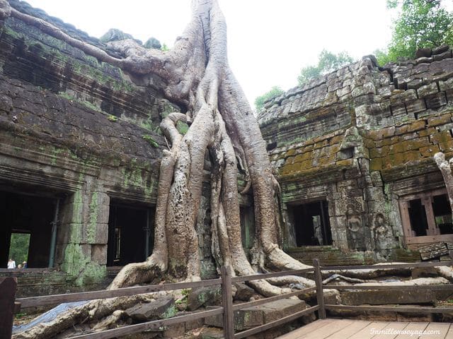 voyage au cambodge les temples d 'Angkor