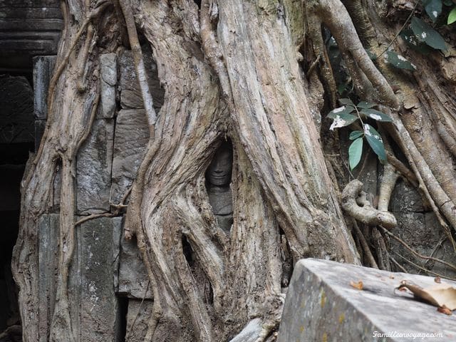 voyage au cambodge les temples d 'Angkor