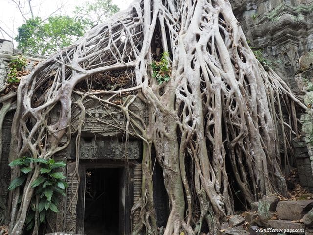 voyage au cambodge les temples d 'Angkor