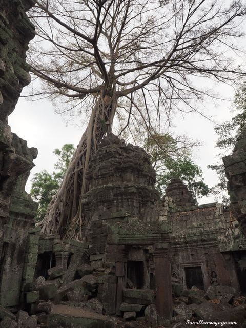 voyage au cambodge les temples d 'Angkor