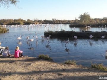 parc ornithologique pont de gau