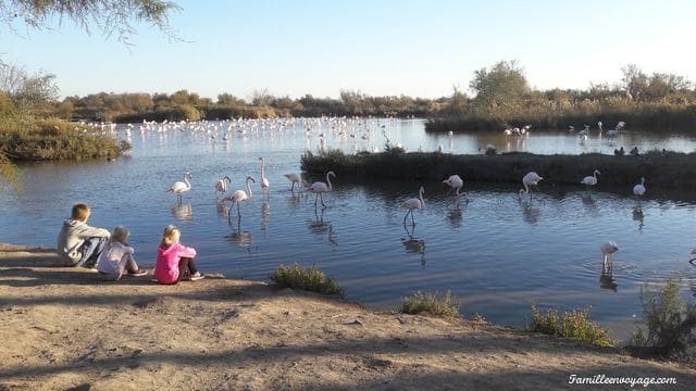 parc ornithologique pont de gau