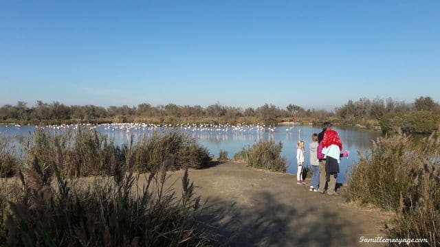 parc ornithologique pont de gau