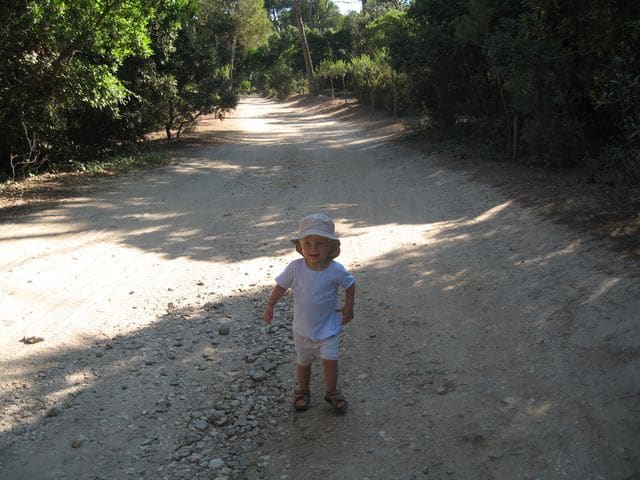 sentier sur porquerolles