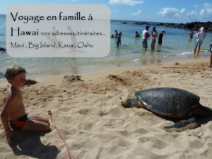 voyage itinérant à hawai en famille