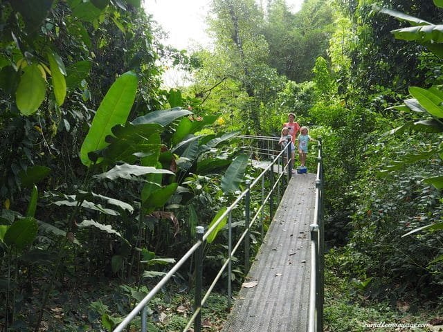 héliconia-island-sarapiqui