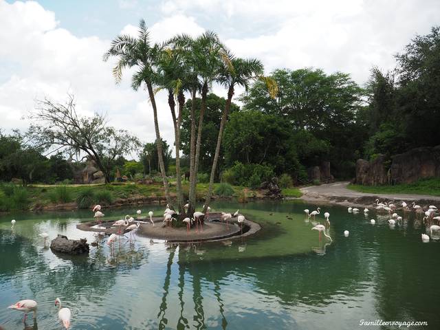 Kilimanjaro Safari tour