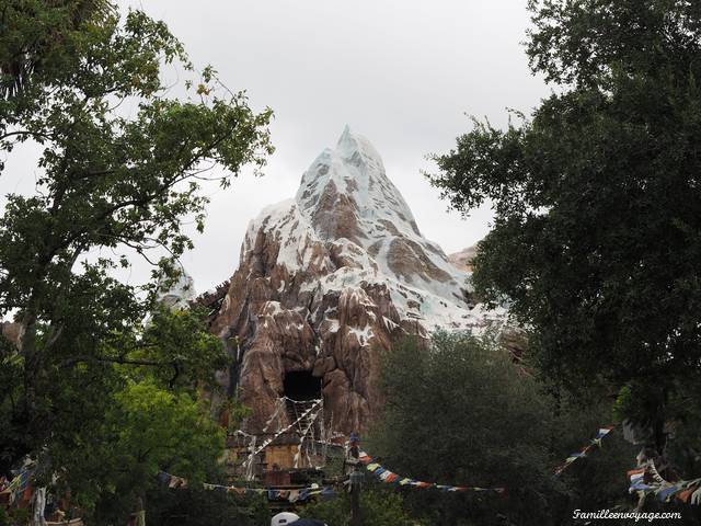 Everest Animal Kingdom