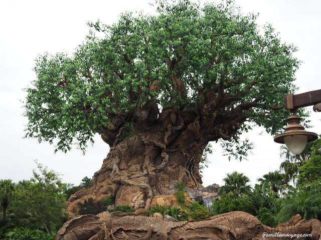 Animal Kingdom