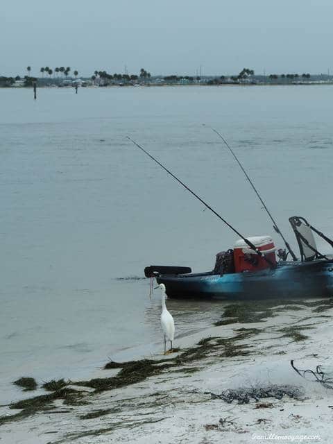 caladesi island floride