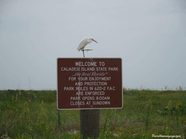 caladesi island floride