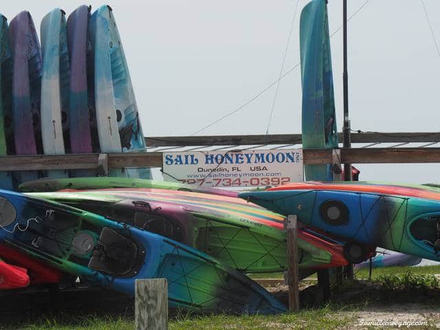 caladesi island floride kayak