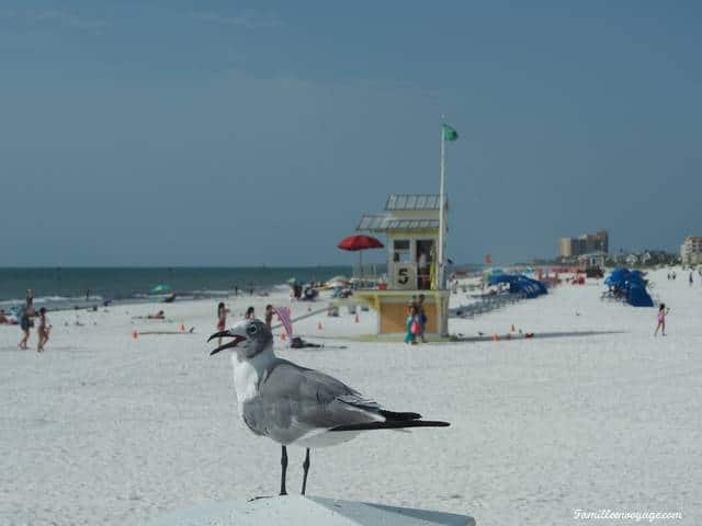 Clearwater