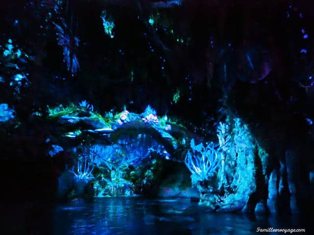 Avatar animal Kingdom