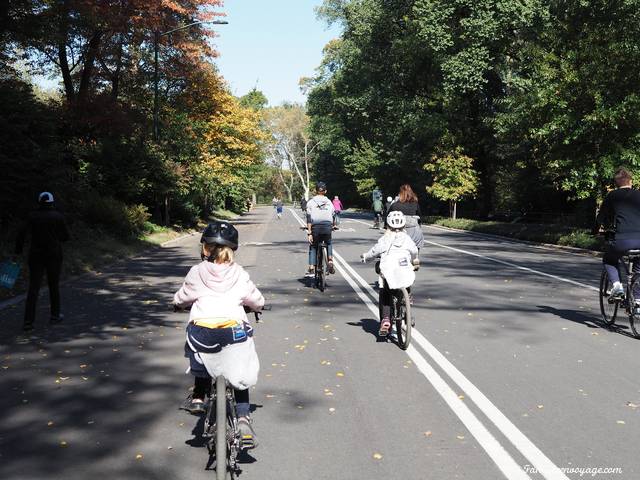 central park en automne