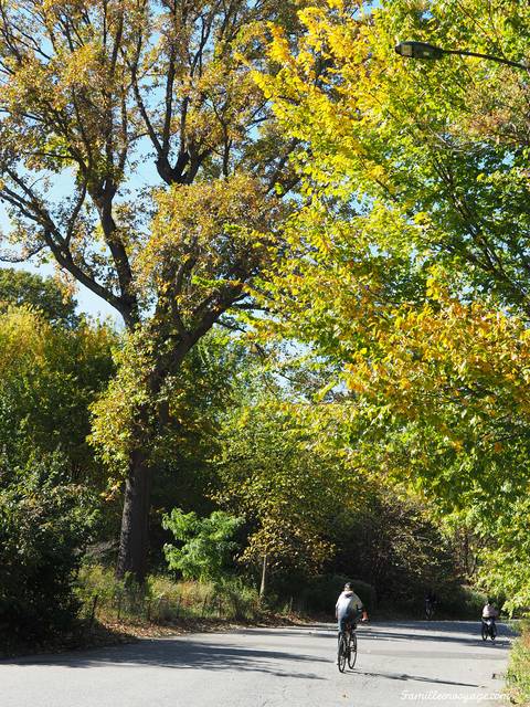 central park en automne