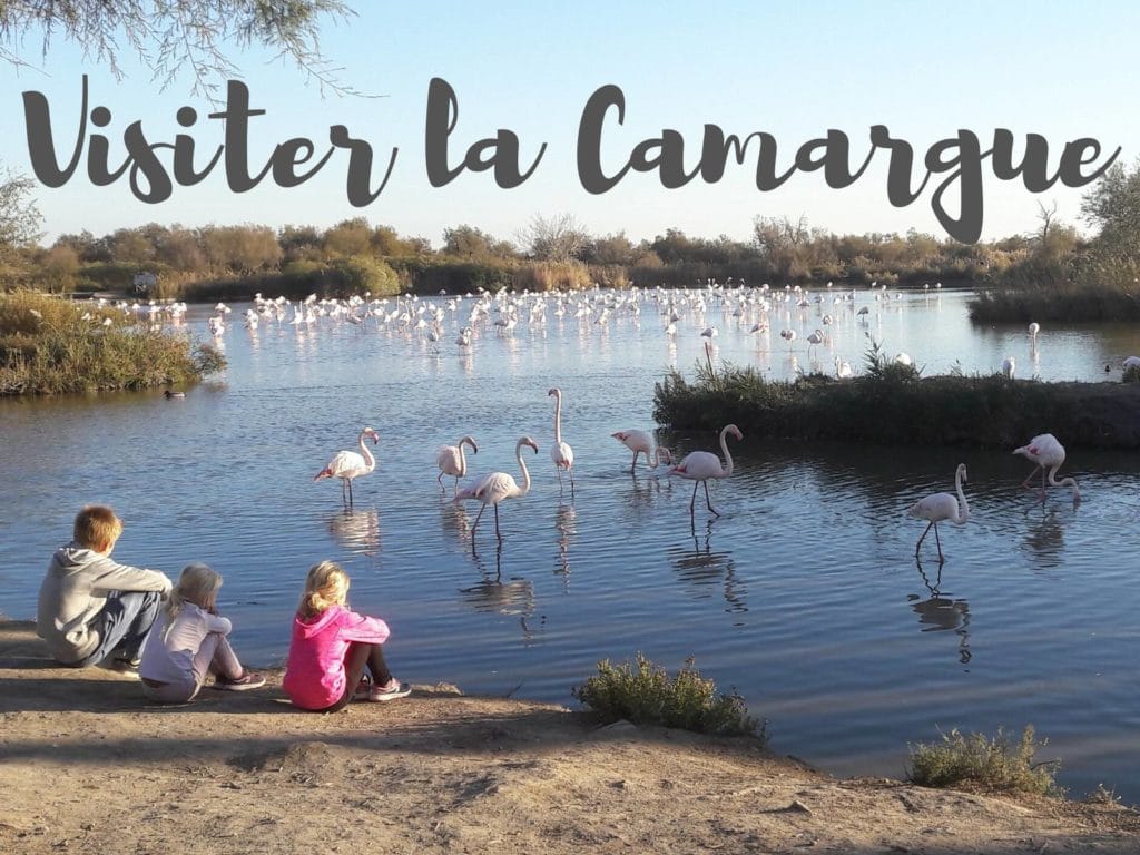 camargue-