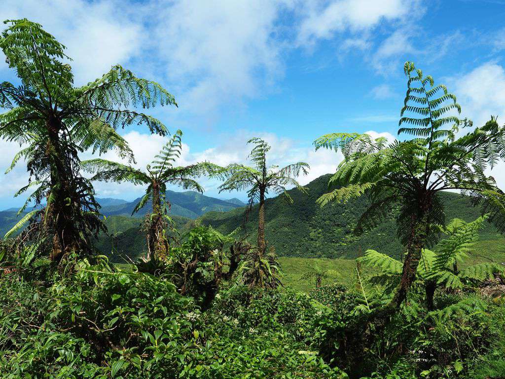 volcan la Soufrière