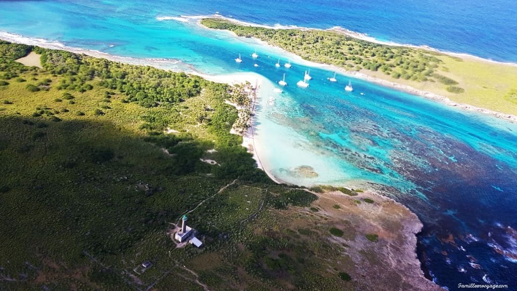 excursion guadeloupe petite terre