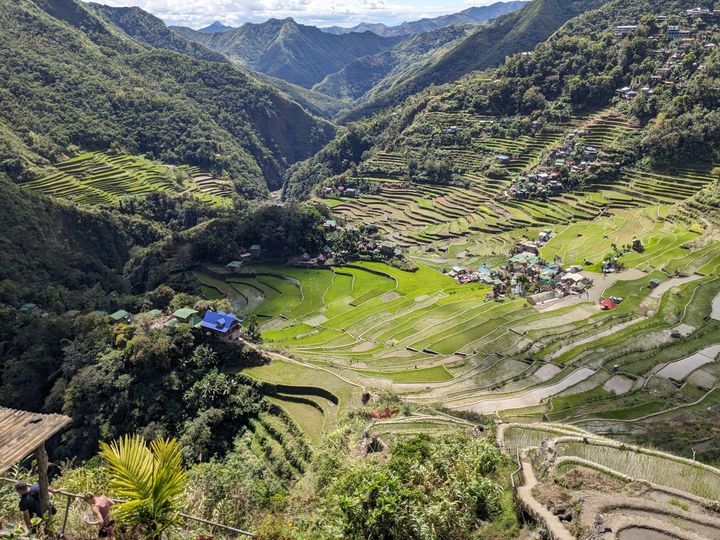 Rizières de Banaue (56) Rizières de Banaue (56)