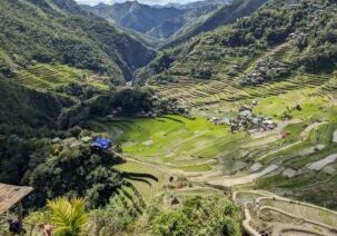 Rizières de Banaue (56)