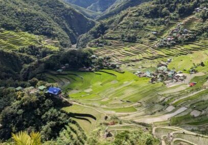 Rizières de Banaue (56)
